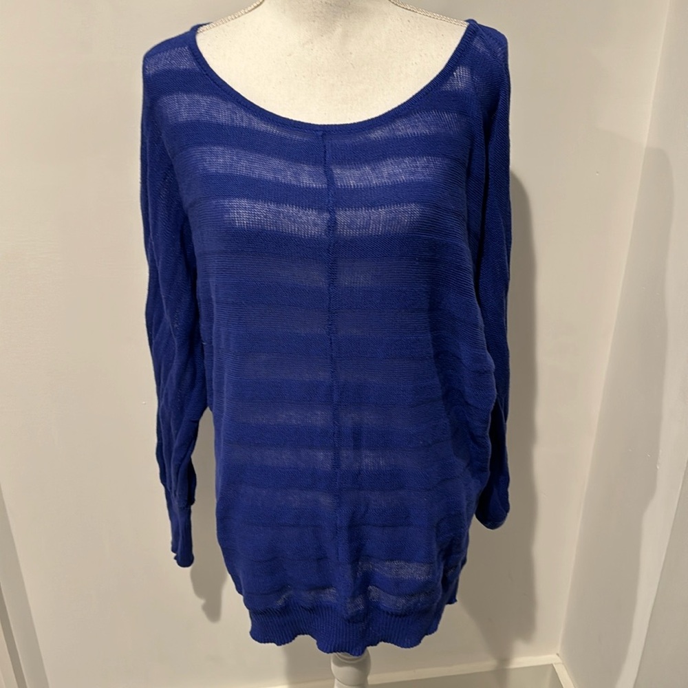 Blue striped sheer dolman Alloy tunic sweater